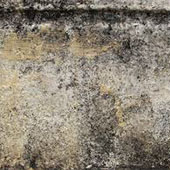 Pennelli Grunge